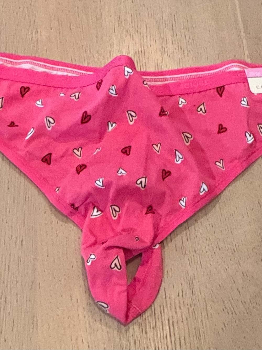 Cacique Women’s Pink, Light Pink & Leopard Print Thong - Trio - Picture 10 of 13